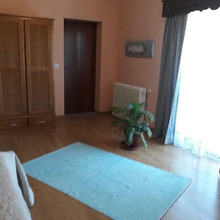 Cynda'S Home 维塞乌 外观 照片