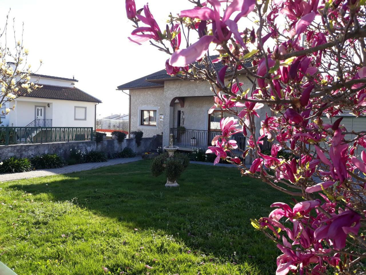 Cynda'S Home 维塞乌 外观 照片