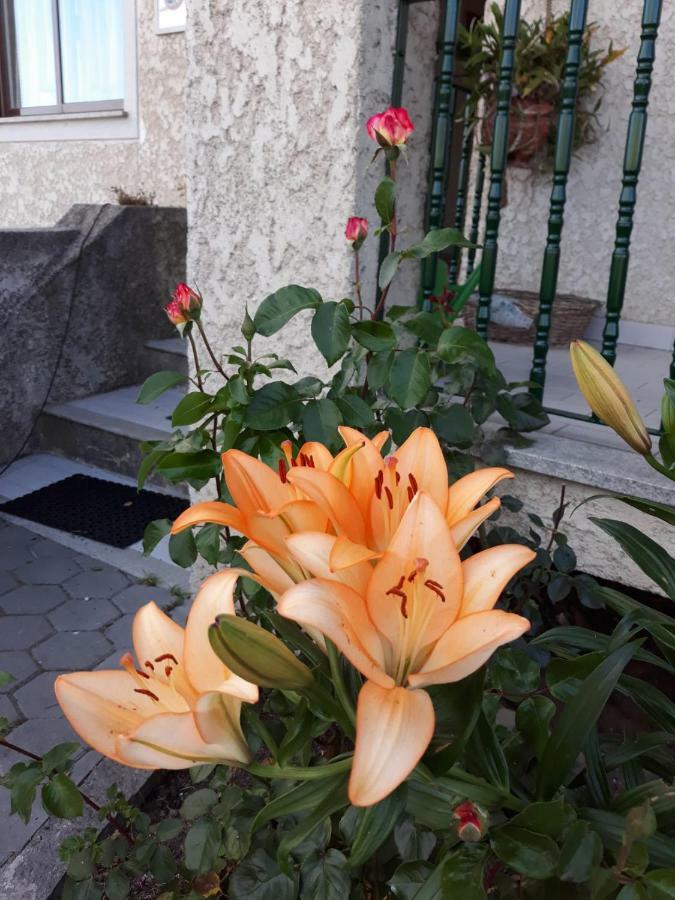 Cynda'S Home 维塞乌 外观 照片