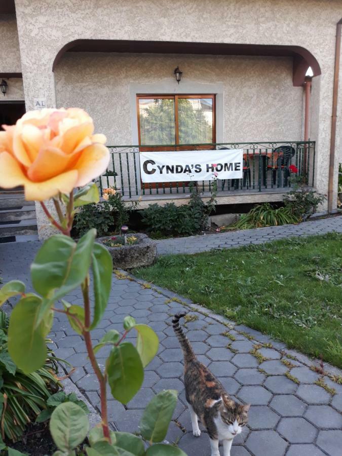 Cynda'S Home 维塞乌 外观 照片